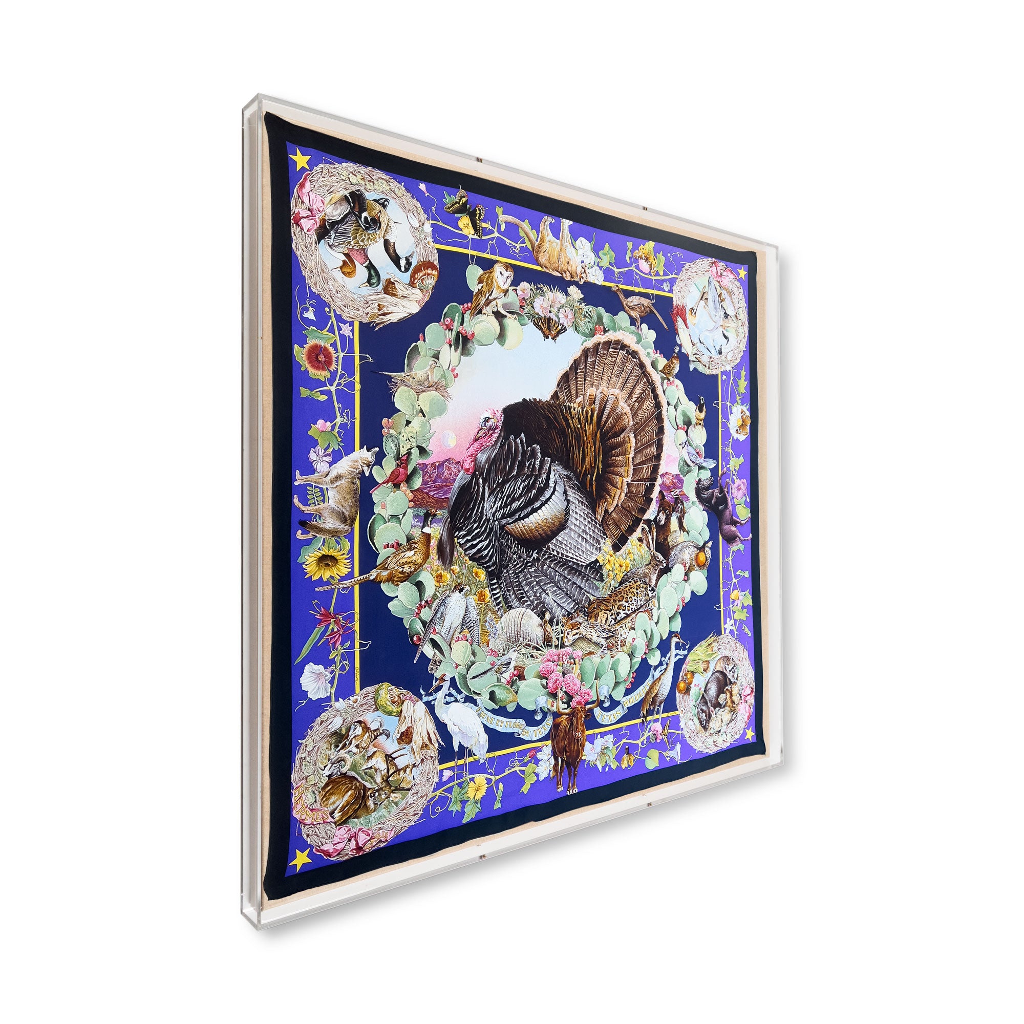 Framed Hermès Texas Flora & Faune by Kermit Oliver Scarf in a 36x36x2 Shadowbox